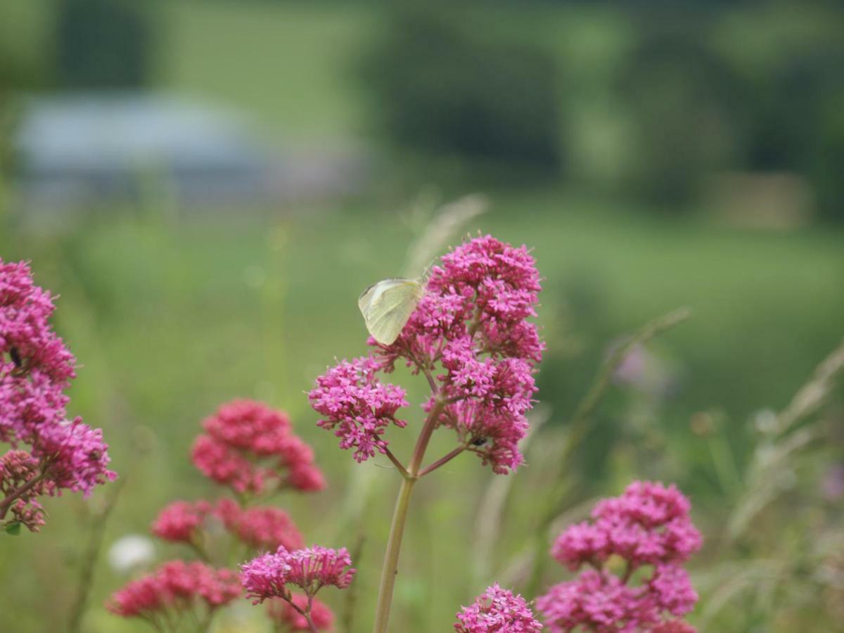 Kilry Incheoch Farm Cottage المظهر الخارجي الصورة