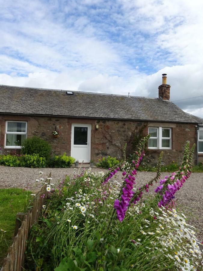 Kilry Incheoch Farm Cottage المظهر الخارجي الصورة